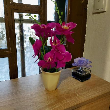 Lovely, Neat And Quite Apartment Dalia, Private Parking SJJ Eksteriør bilde